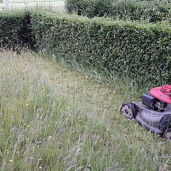 Grass Cutting Start